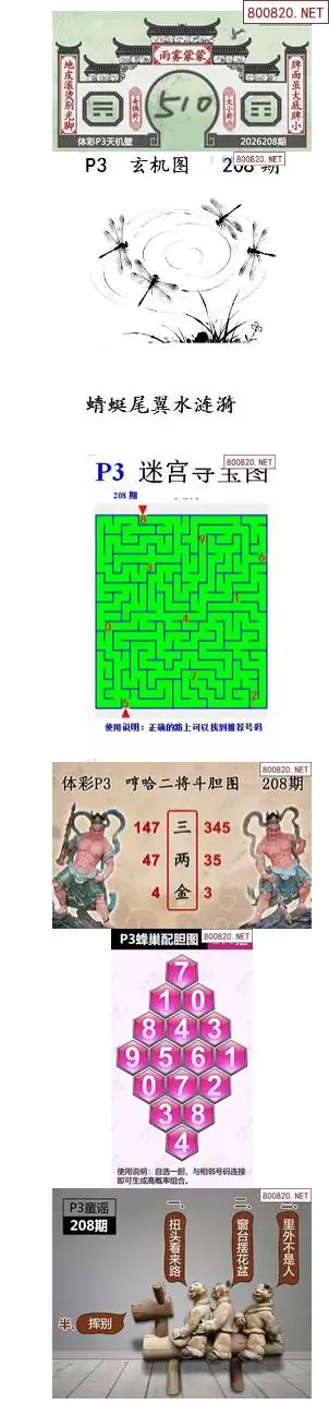 蜂巢天机图谜