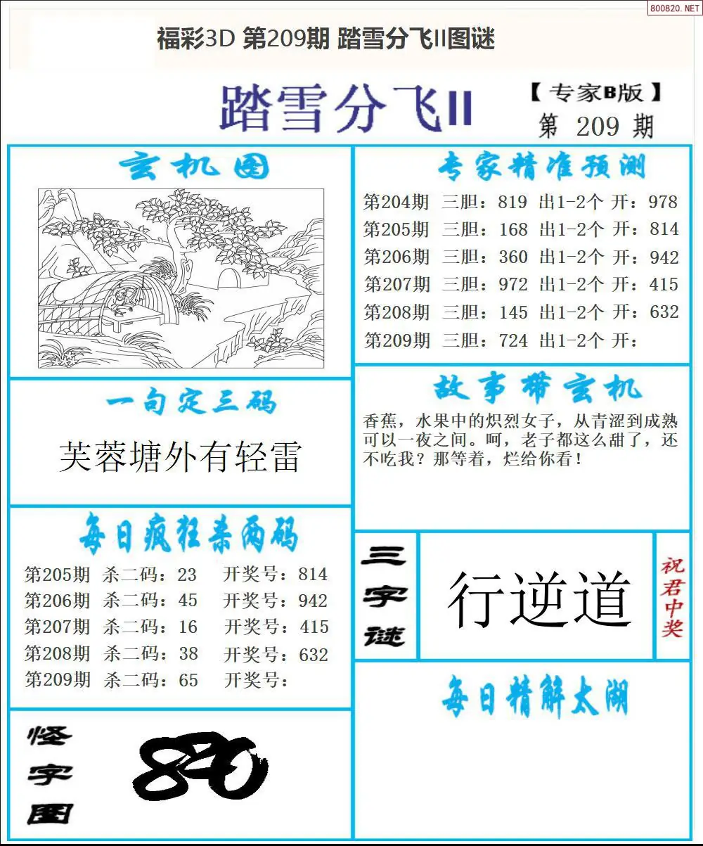 A168东北彩报2版