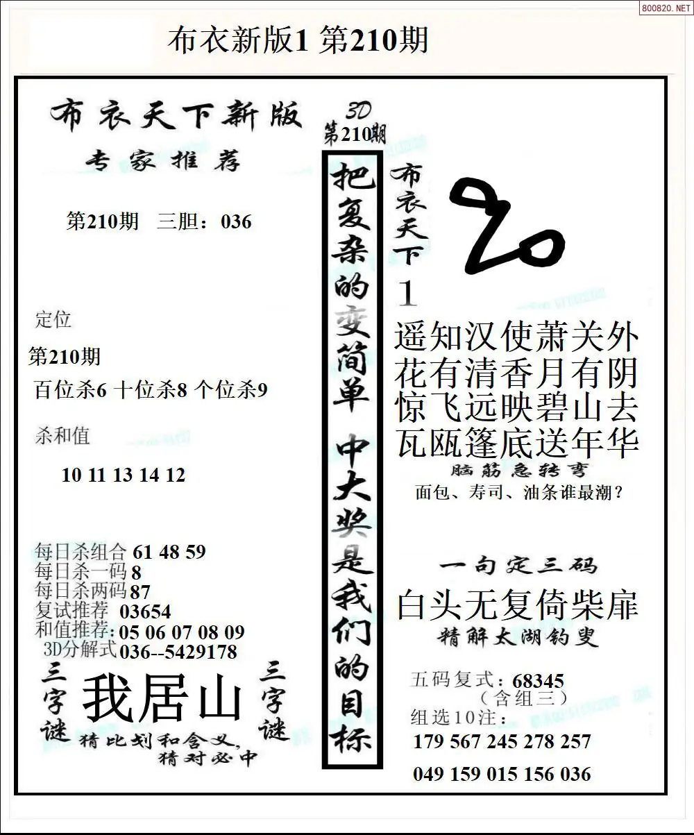 A51新版布衣1