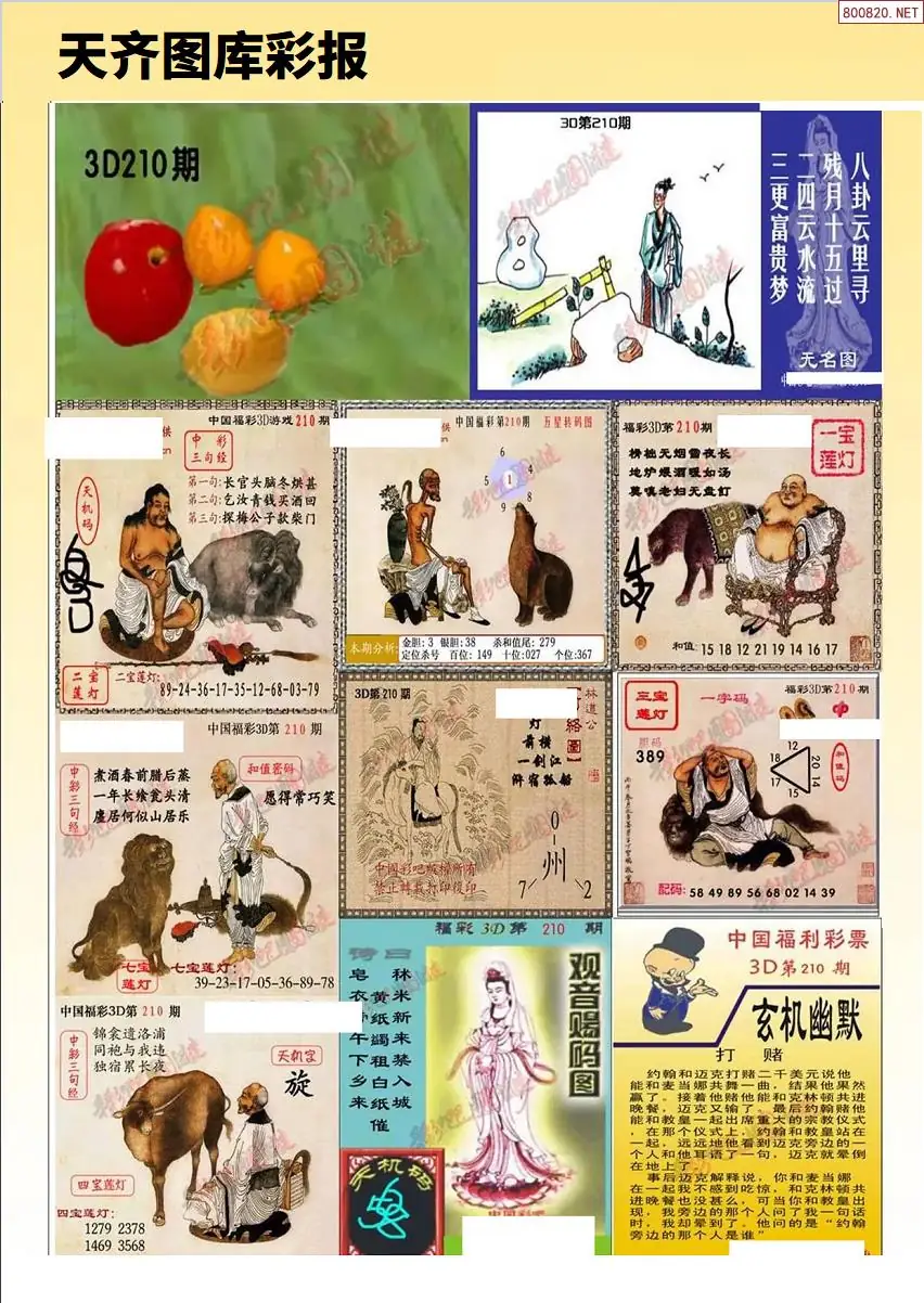 天齐原创彩报C