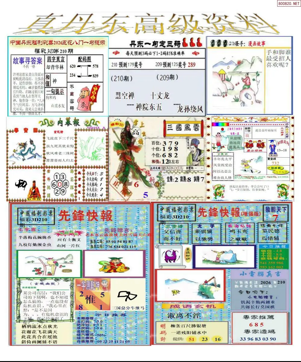 A307真丹东高级资料