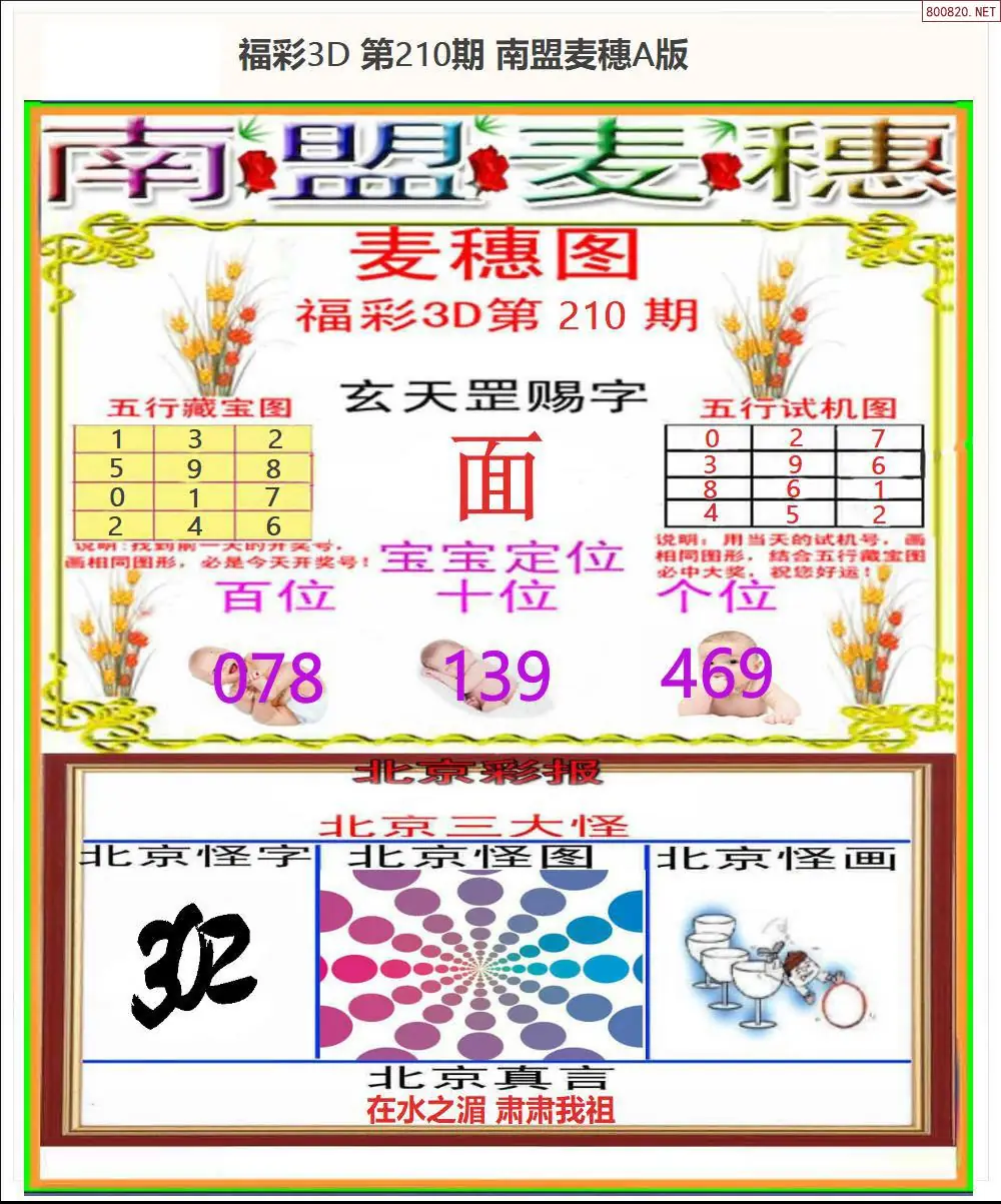 A181南盟麦穗A版