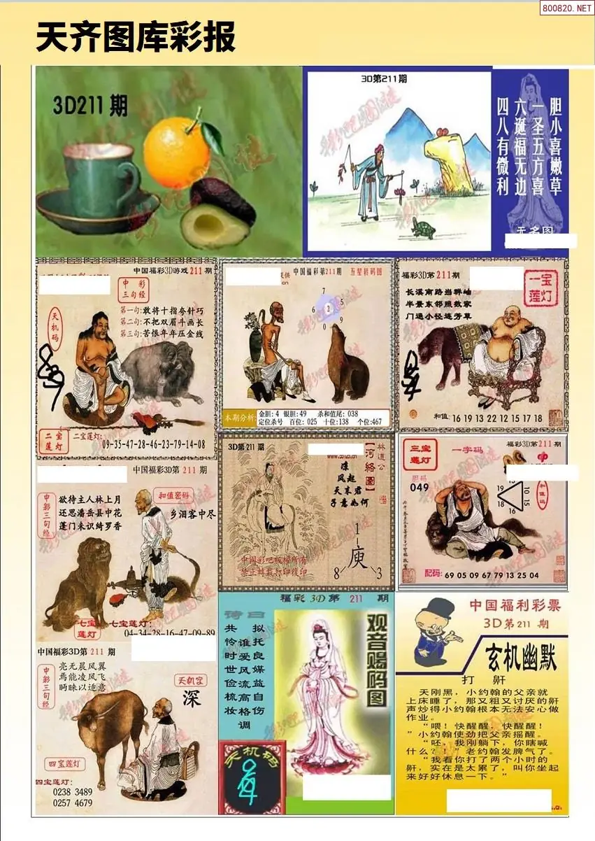 天齐原创彩报D