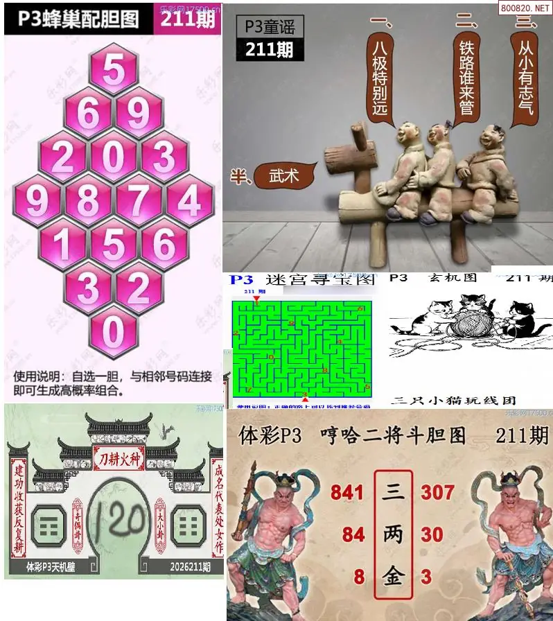 蜂巢天机图谜