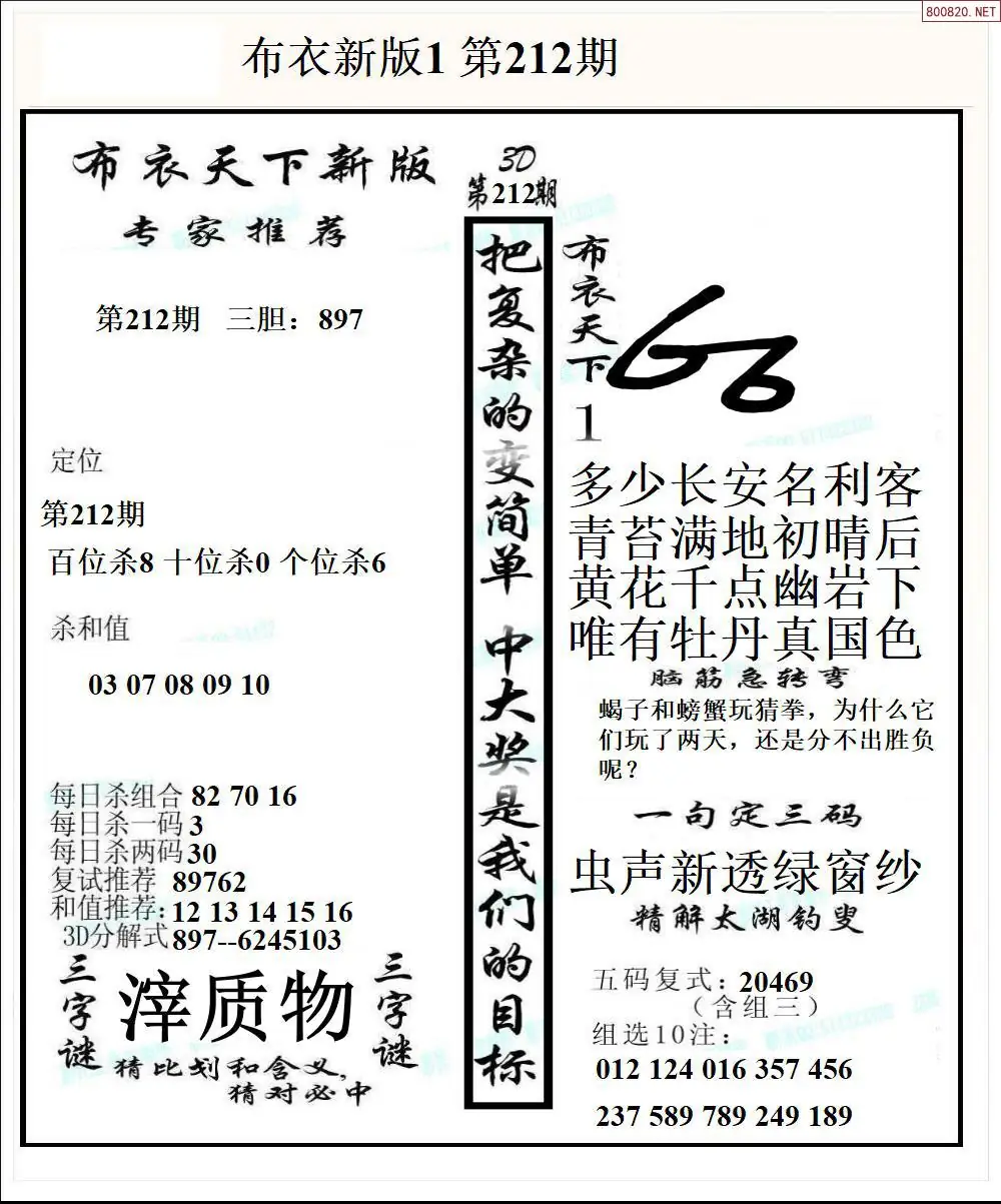 A51新版布衣1