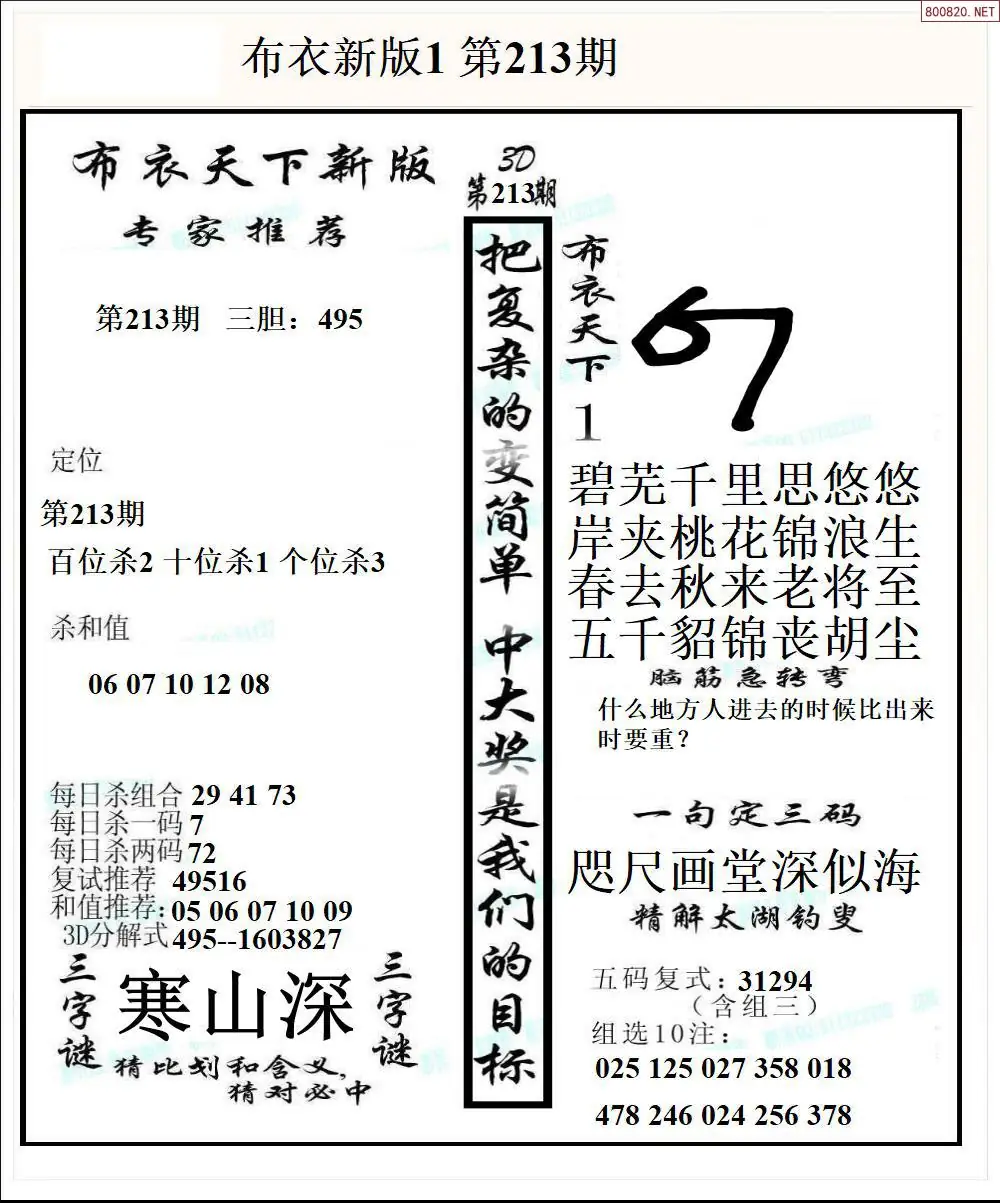 A51新版布衣1