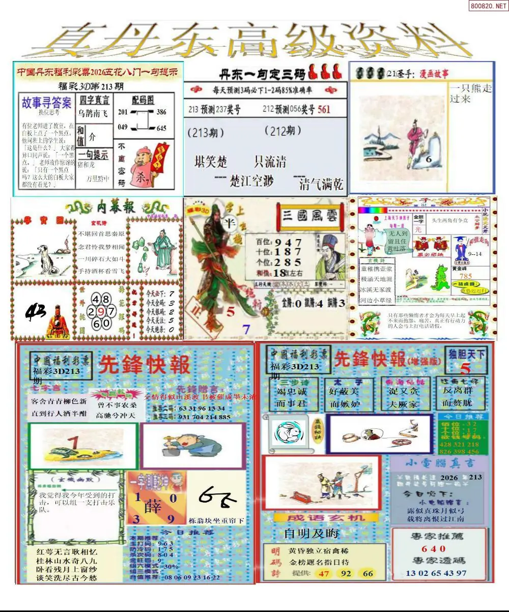 A307真丹东高级资料
