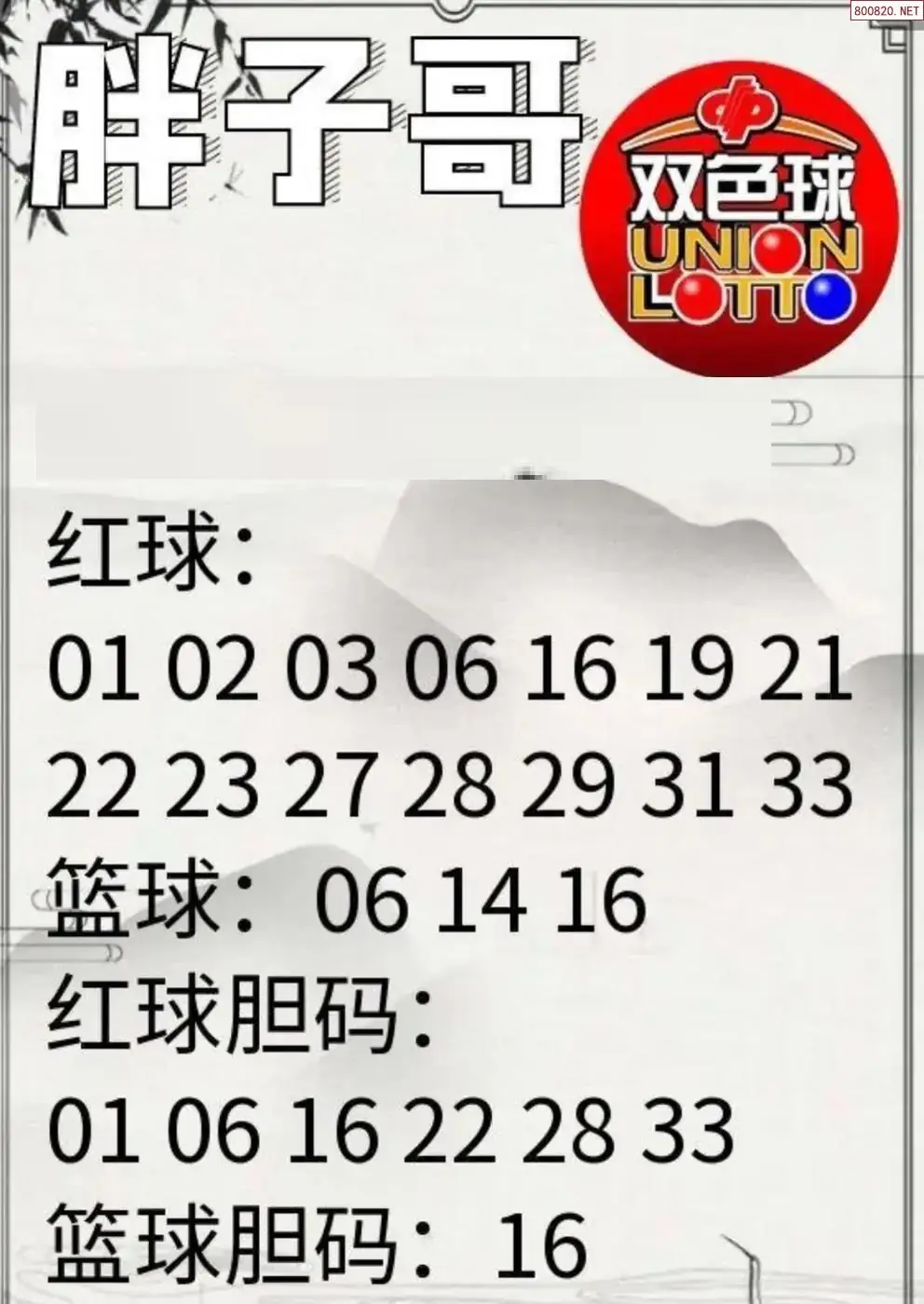 胖哥推荐