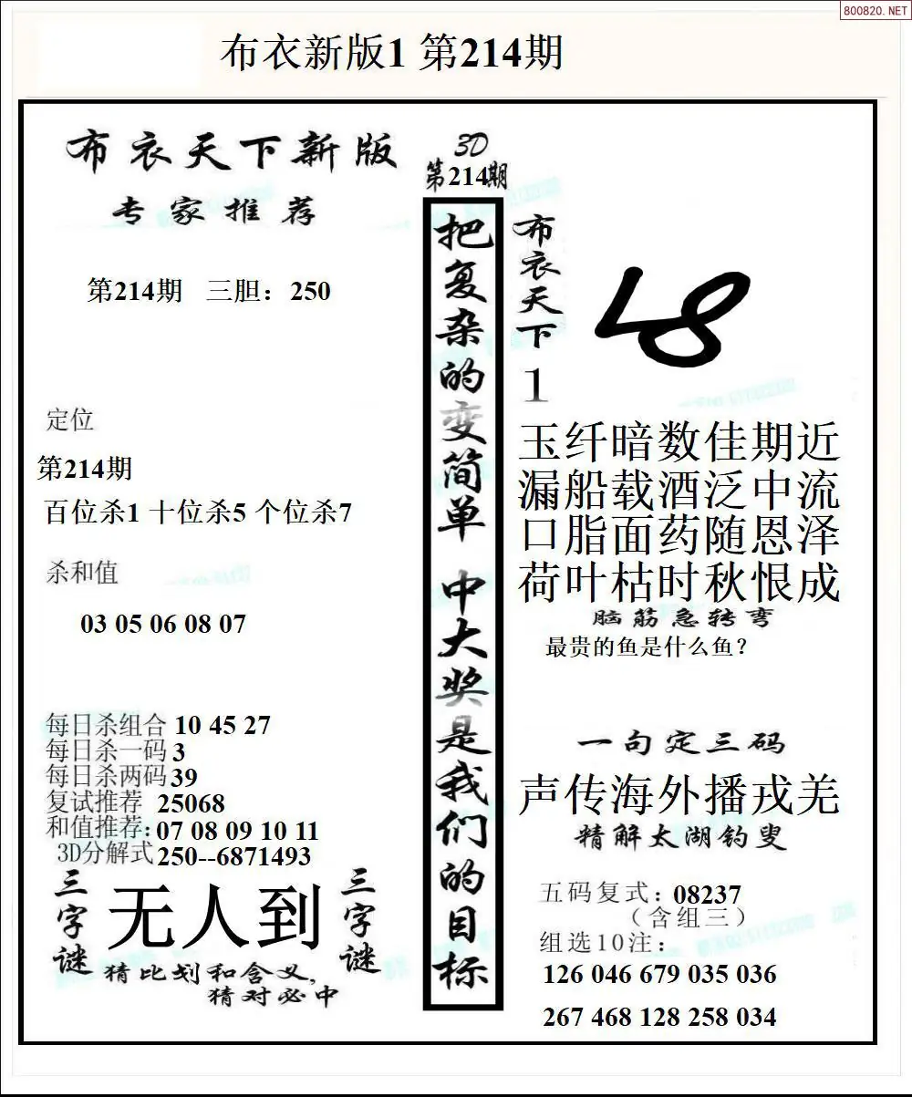 A51新版布衣1