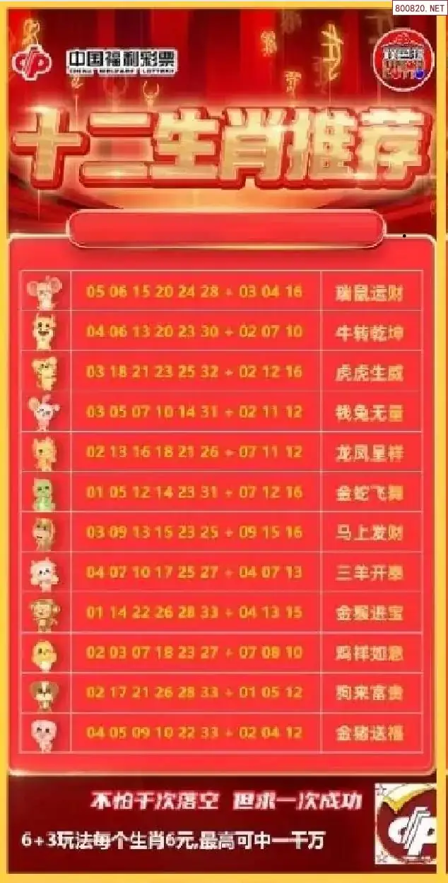 十二生肖推荐图
