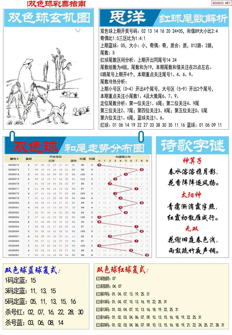 牛彩指南
