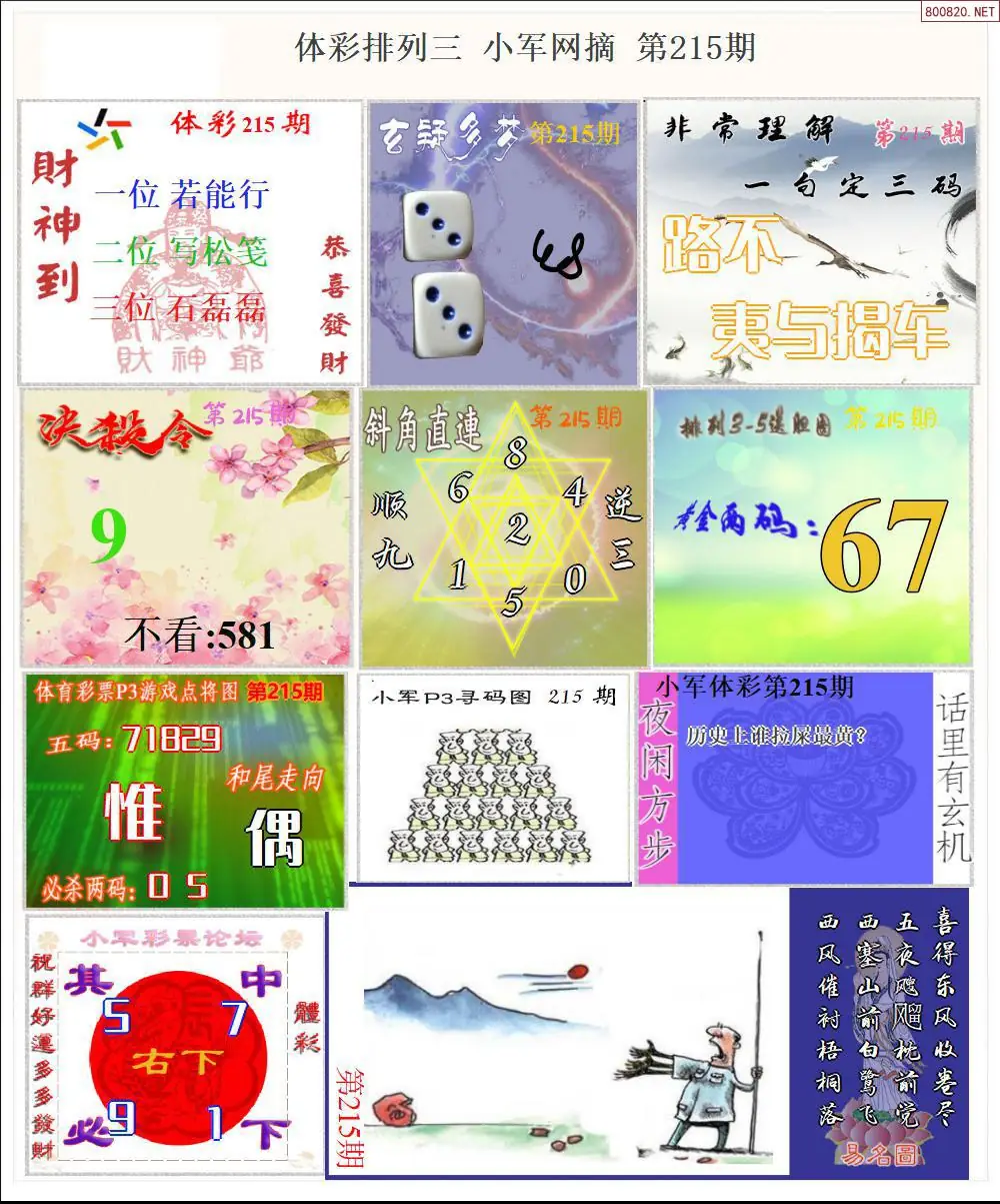 体彩P3小军网摘版
