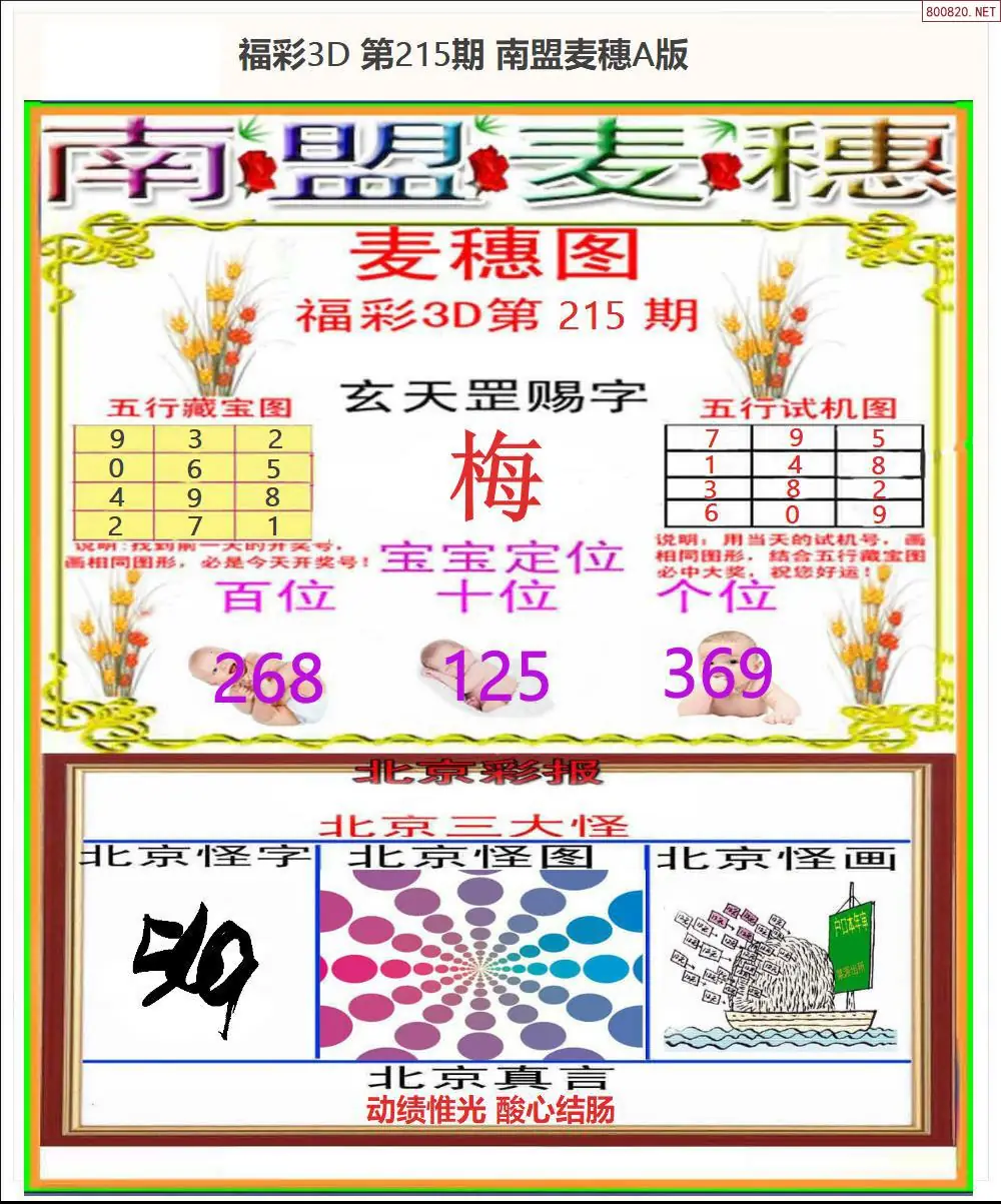 A181南盟麦穗A版