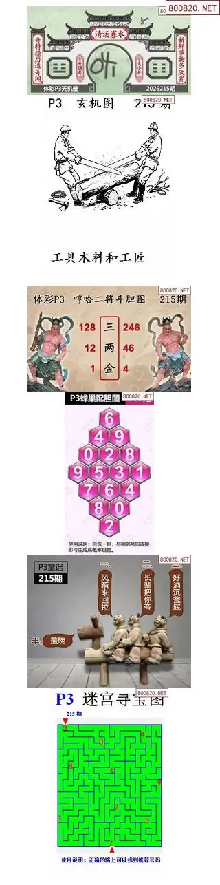 蜂巢天机图谜