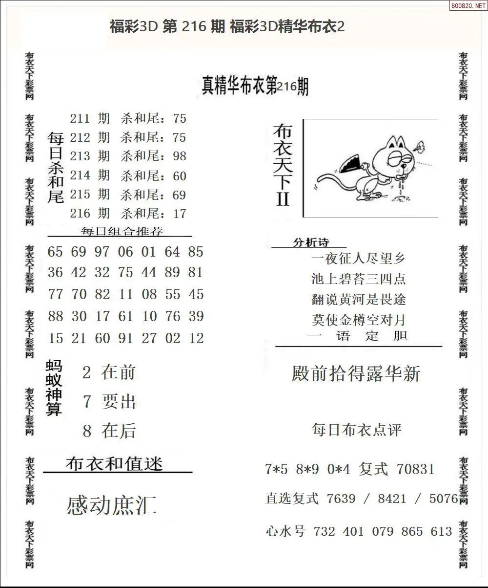 A34精华布衣2