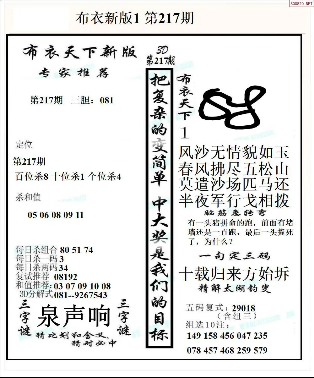 A51新版布衣1