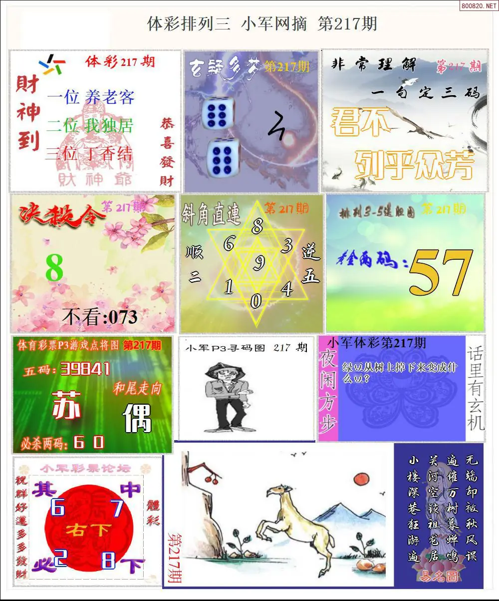 体彩P3小军网摘版