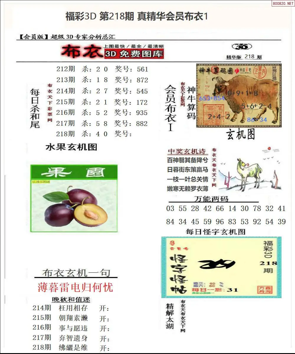 真精华会员布衣1