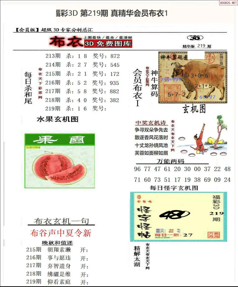 真精华会员布衣1