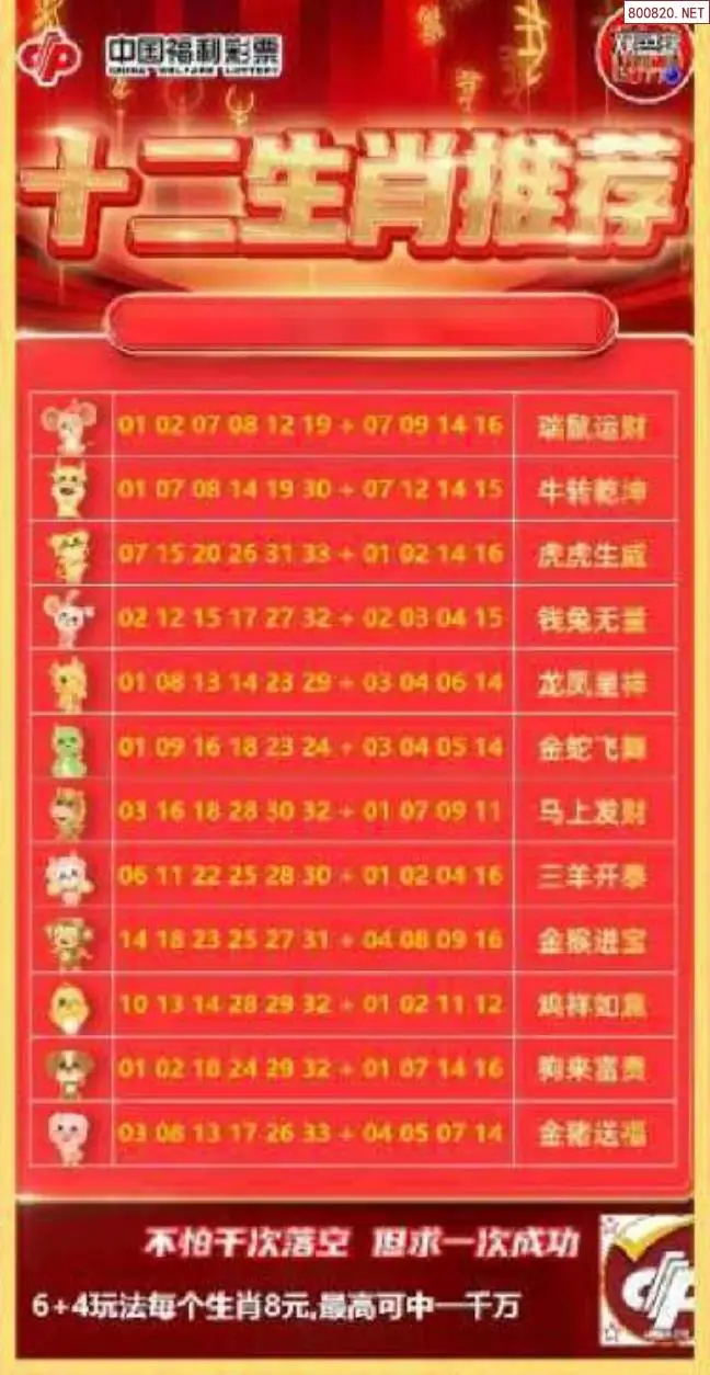 十二生肖推荐图