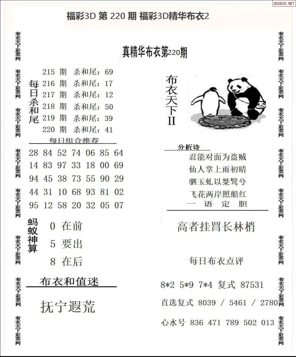 精华布衣2