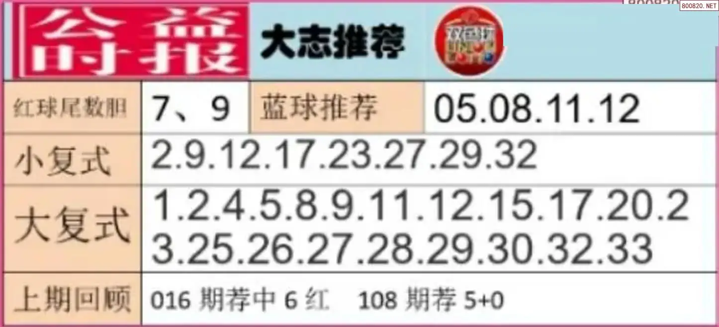 胖哥推荐