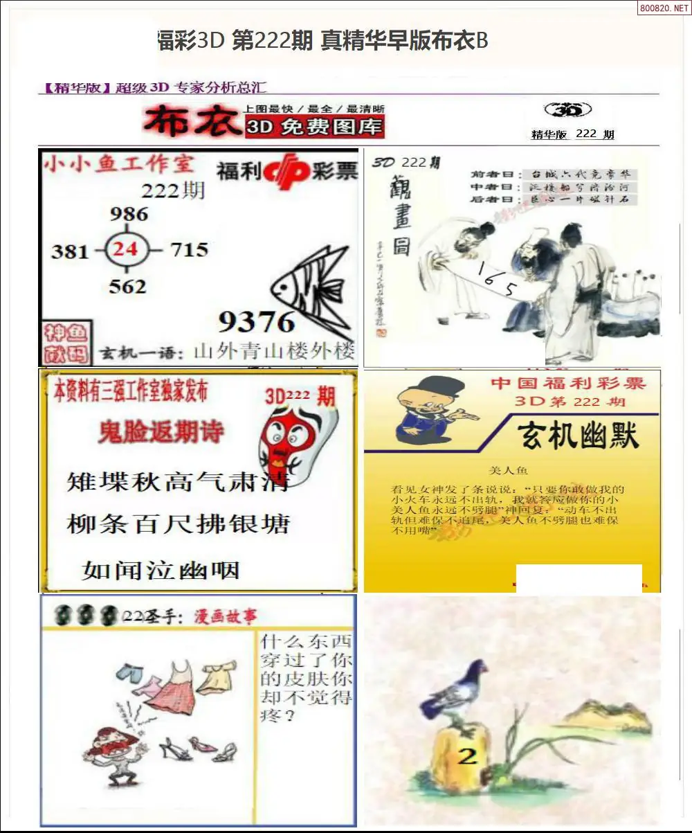 真精华早版布衣B