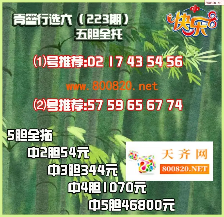 青簪行胆拖图