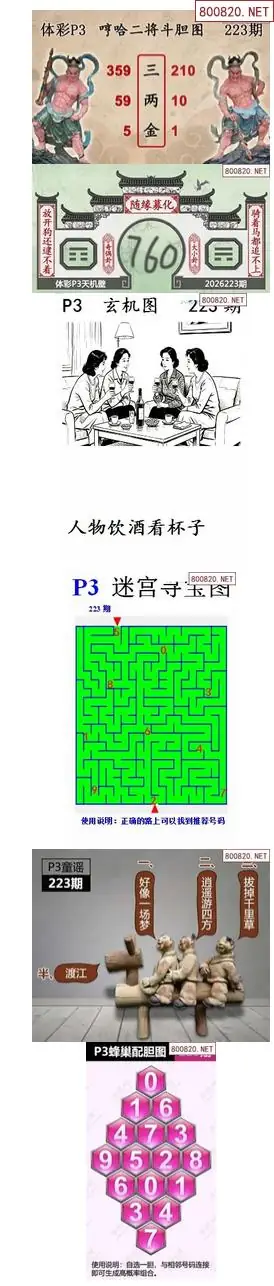 蜂巢天机图谜