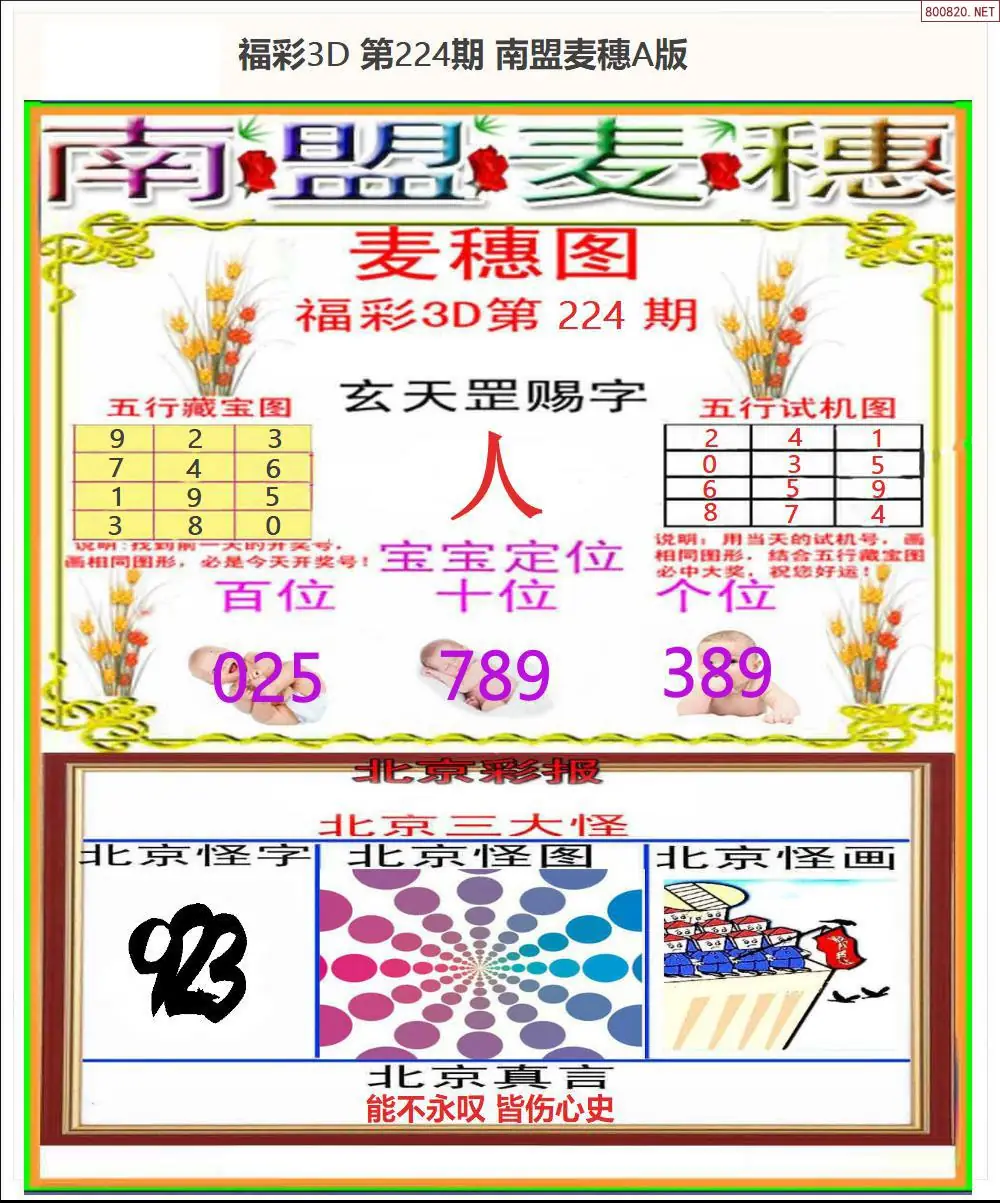 南盟麦穗A版