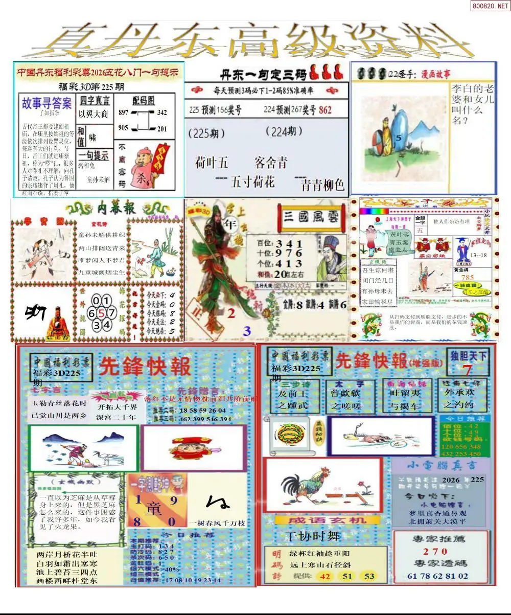 真丹东高级资料