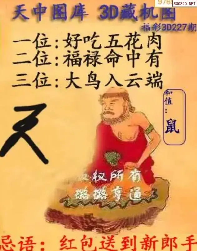 天中藏机图