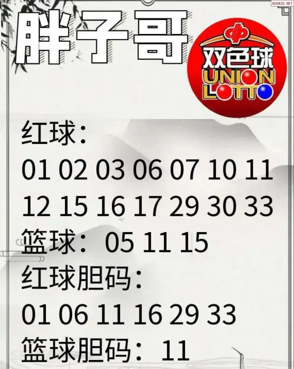 胖哥推荐
