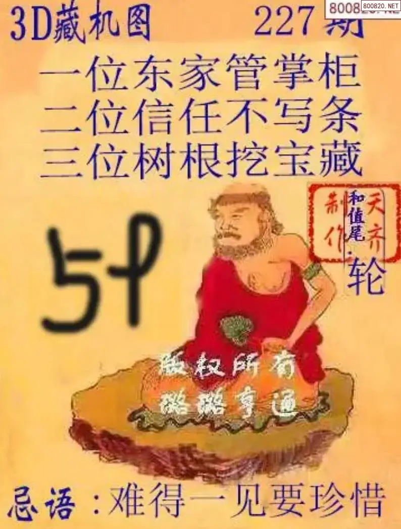 天齐3D藏机图