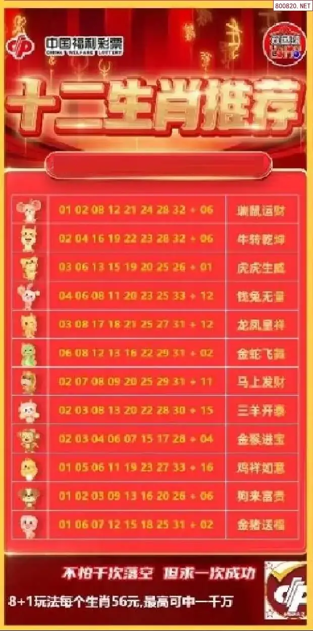 十二生肖推荐图