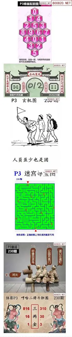 蜂巢天机图谜