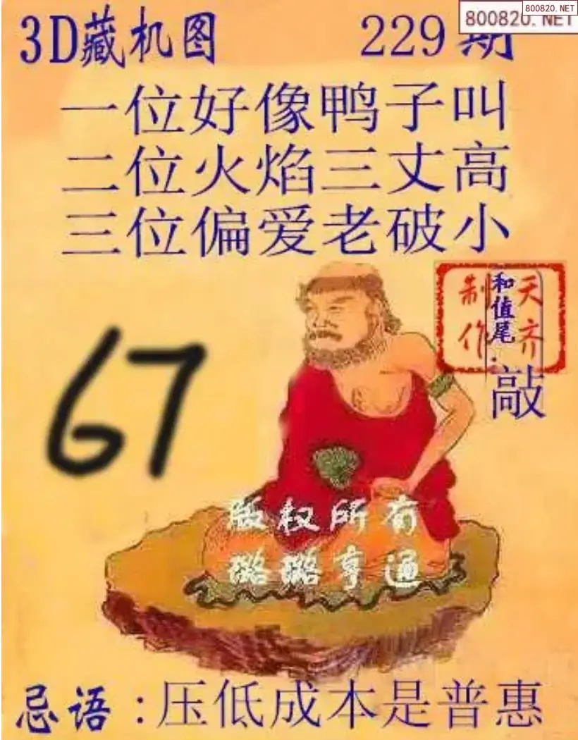天齐3D藏机图