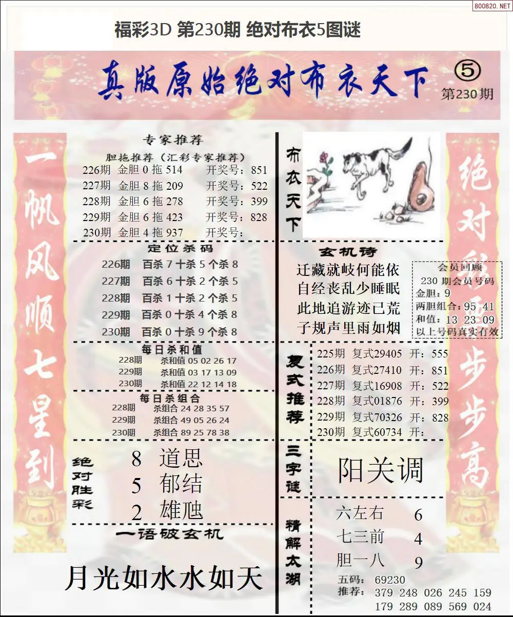 绝对布衣5
