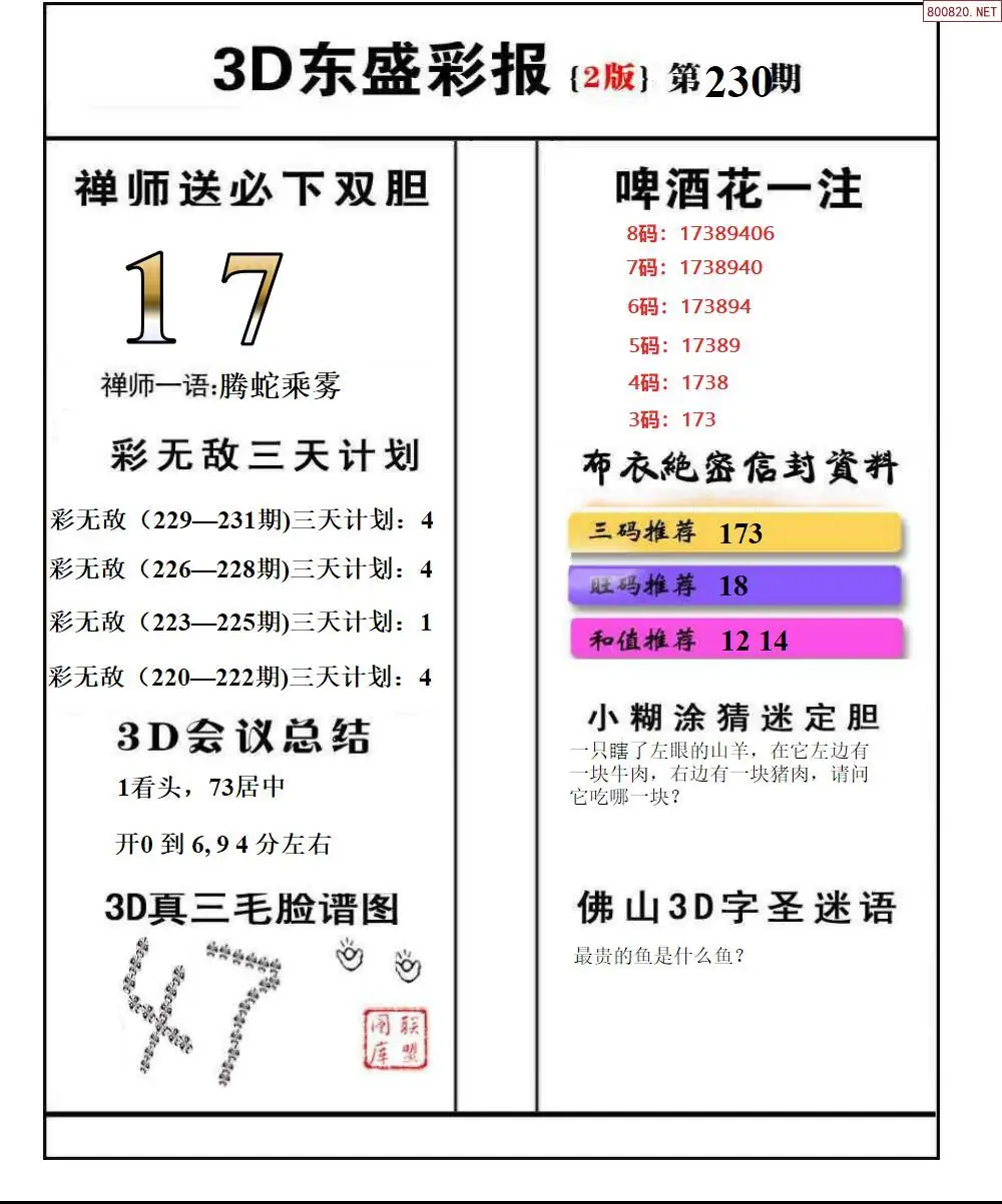 东盛彩报2版
