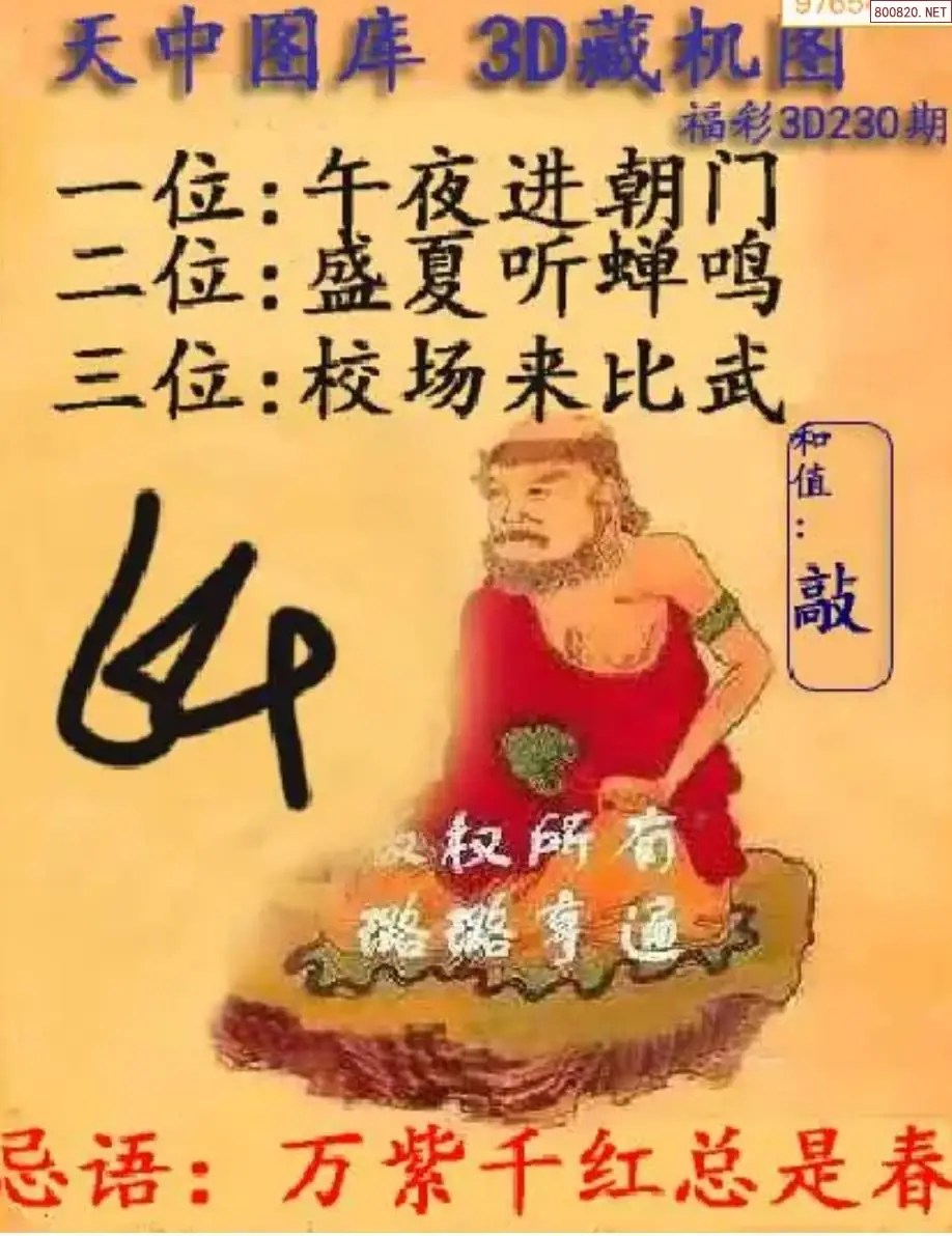 天中藏机图
