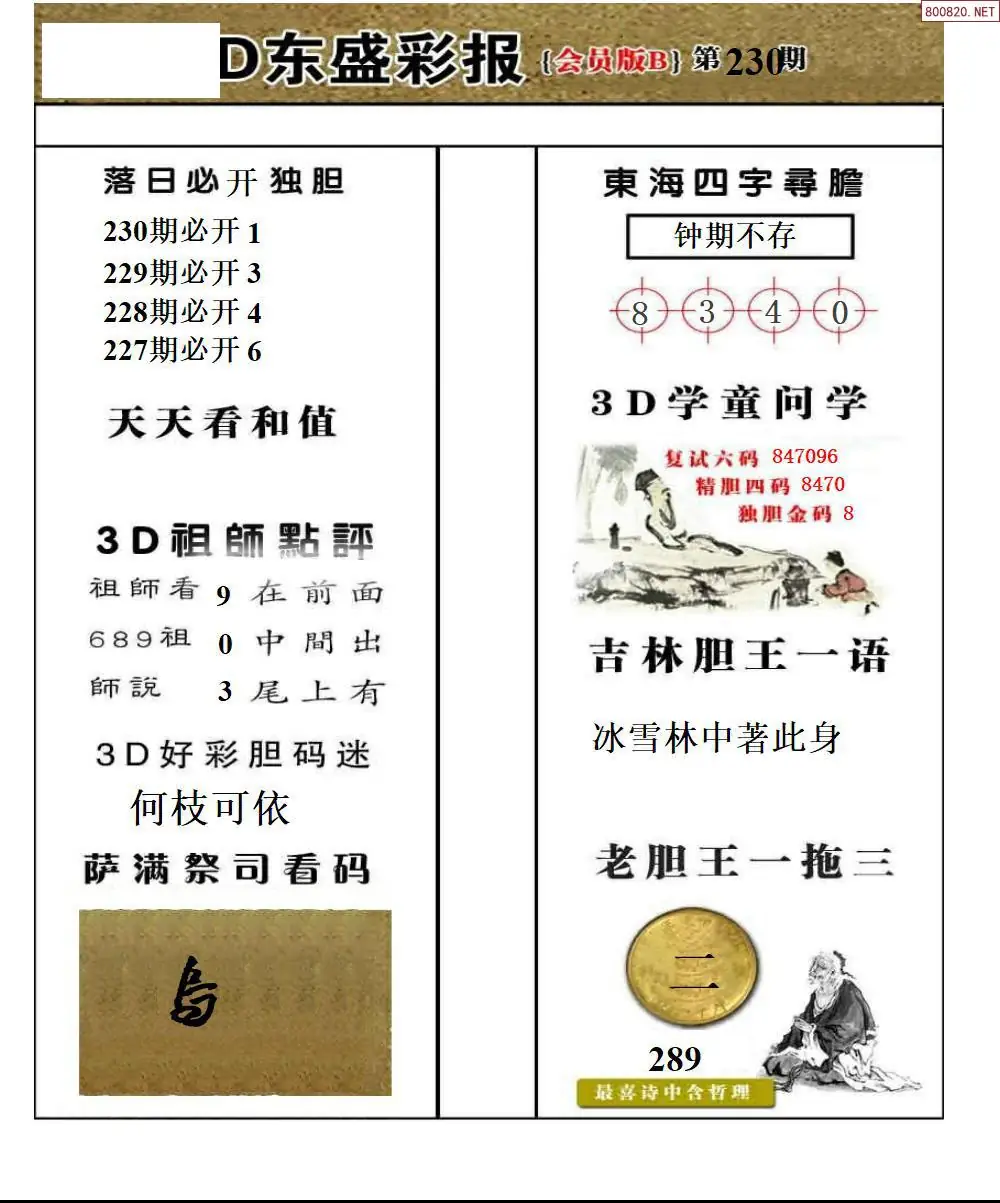 东盛VIP版B版