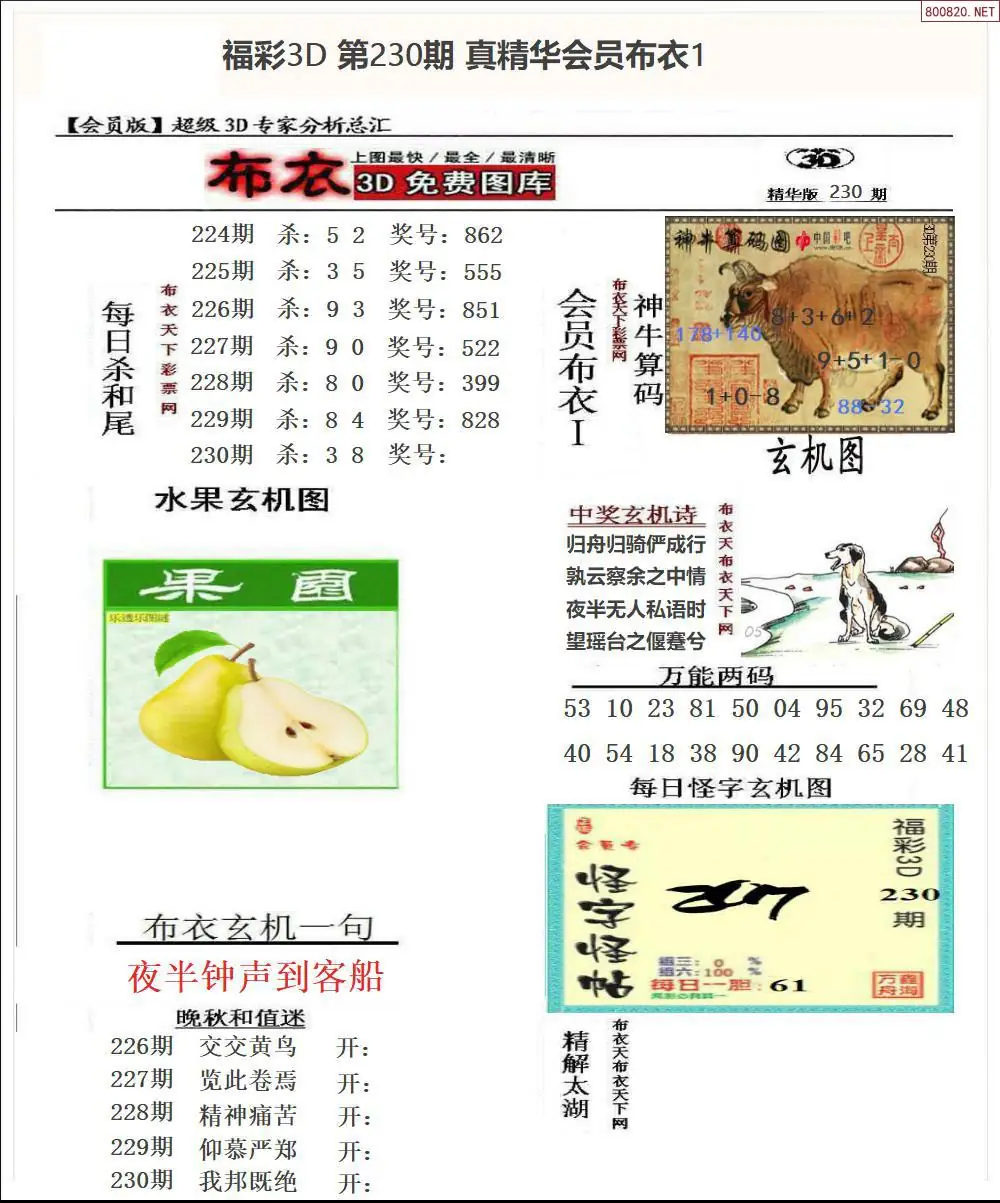 真精华会员布衣1