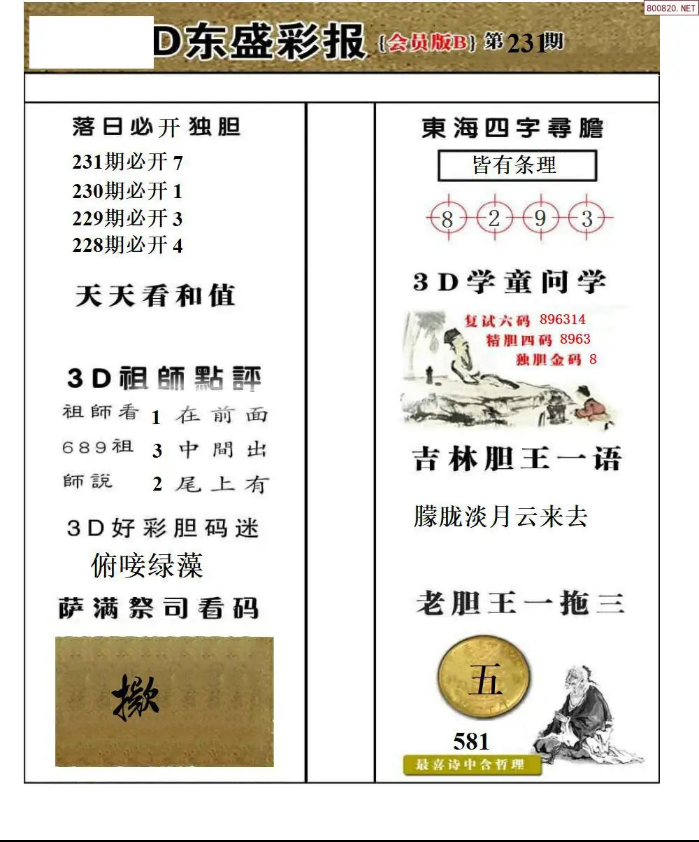 东盛VIP版B版