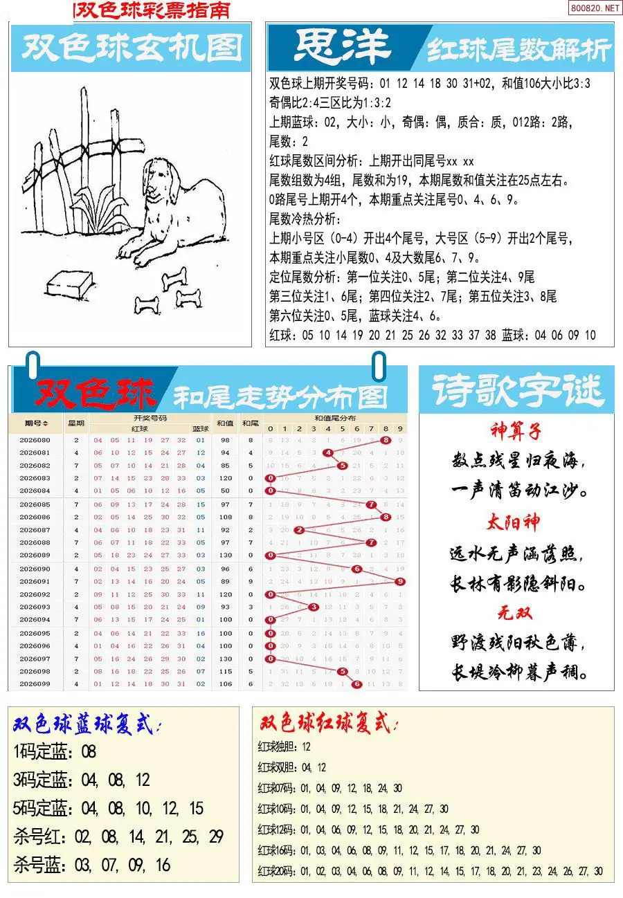 牛彩指南