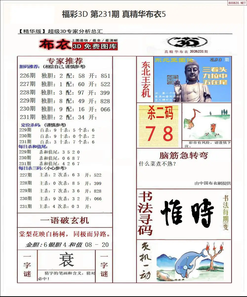 真精华布衣5