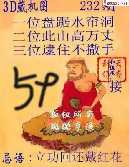 天齐3D藏机图