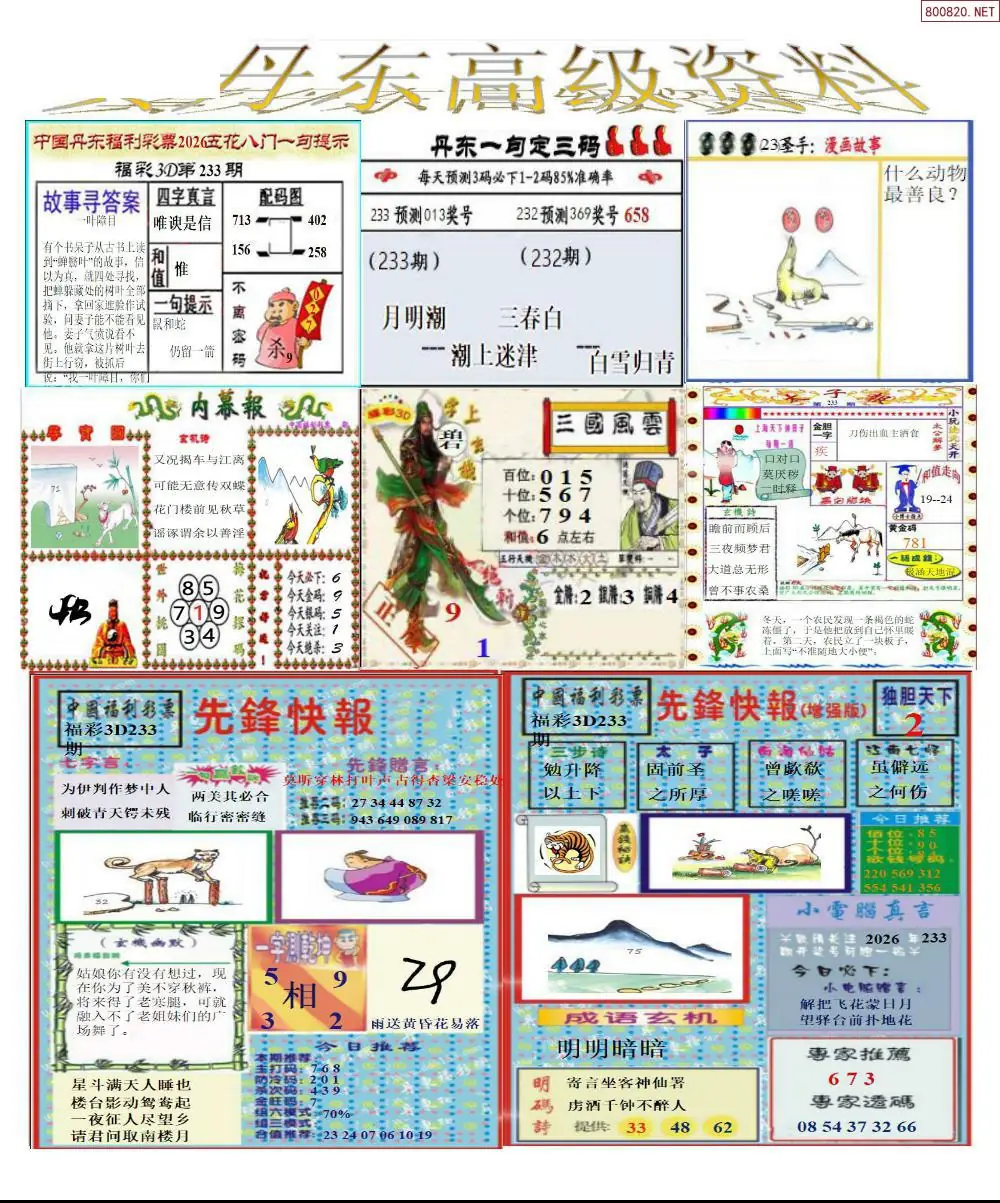 真丹东高级资料