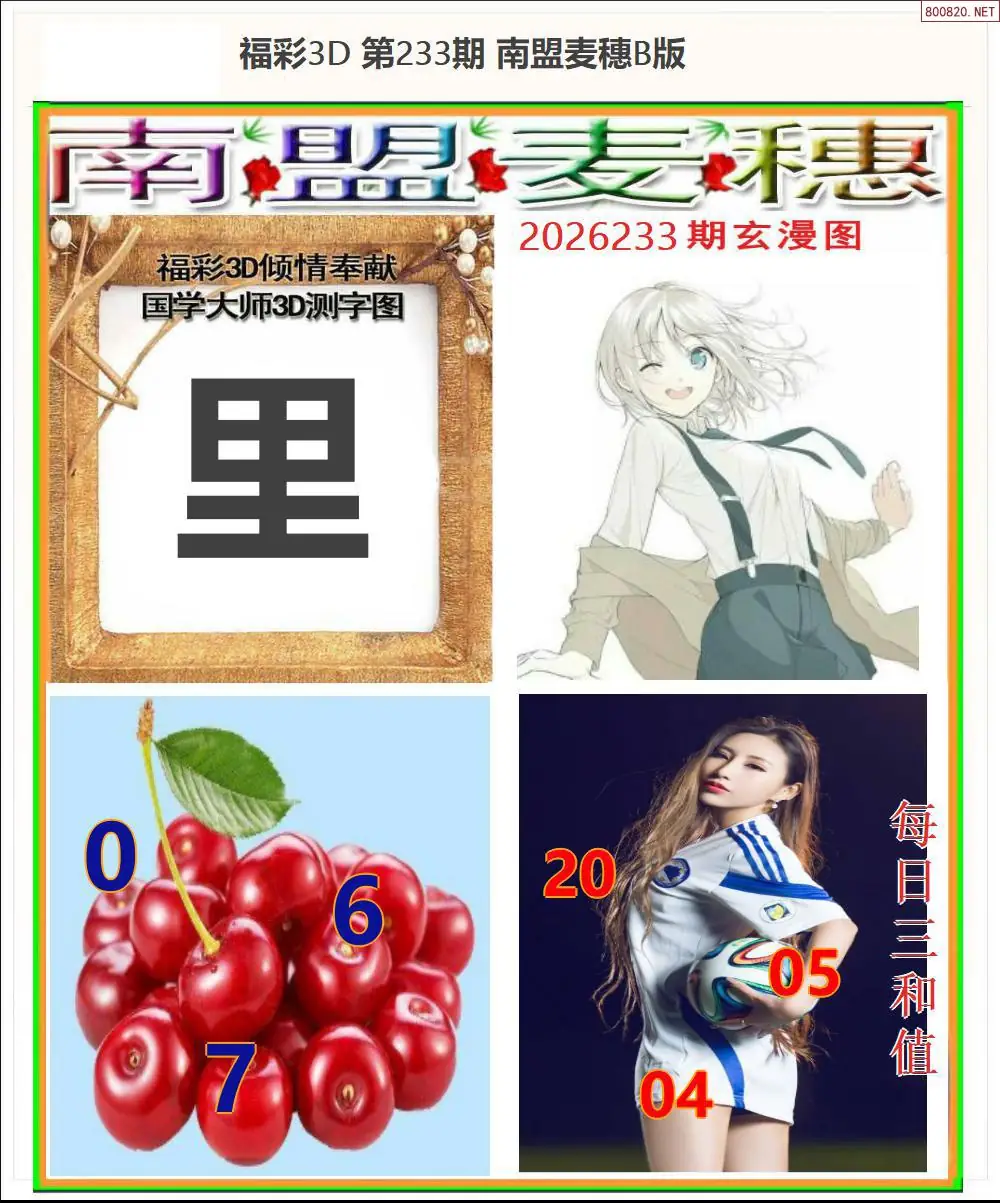 南盟麦穗B版