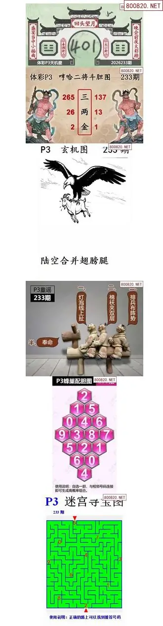 蜂巢天机图谜