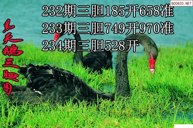 3d福多多原创26234期黑天鹅胆码图迷